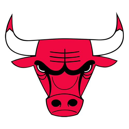 Bulls logo