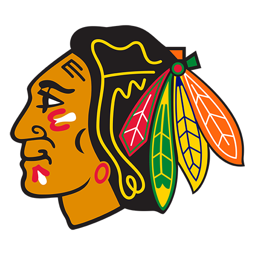 Blackhawks logo